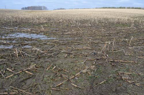 Property photo 30 - 98+/- Acres Offered in 6 Tracts or Combinations, Noble County, Indiana Farm